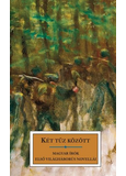 Két tűz között - Magyar írók első világháborús novellái