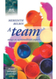 A team - Avagy az együttműködő csoport
