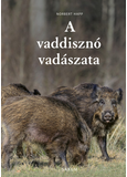 A vaddisznó vadászata