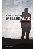 Mellékalak