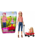 Barbie Sweet Orchard Farm - Barbie és Chelsea nővérek kiegészítővel GCK84